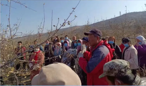爱体育在静宁帮扶村开展冬季果园管理培训(图2)