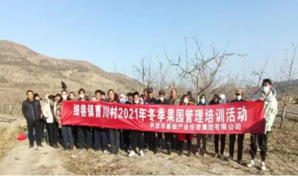 爱体育在静宁帮扶村开展冬季果园管理培训(图3)