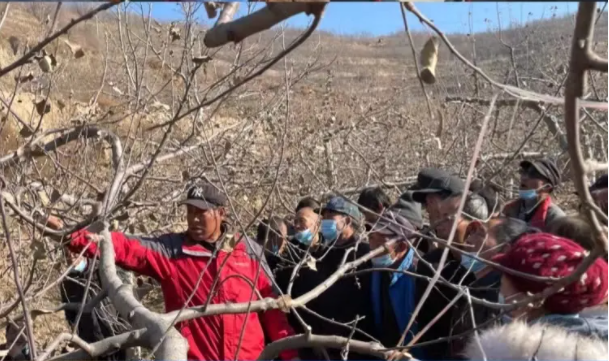 爱体育在静宁帮扶村开展冬季果园管理培训(图5)