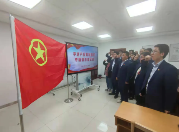 爱体育团委召开2021年度专题组织生活会(图5)