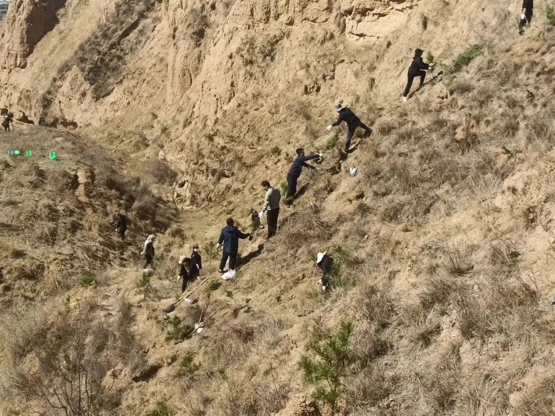 爱体育开展义务植树活动(图2)